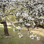 Agroturismo Parco Statella *