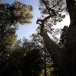 Agroturismo Parco Statella *