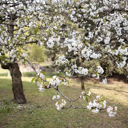 Farm stay Parco Statella *