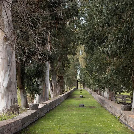 Parco Statella