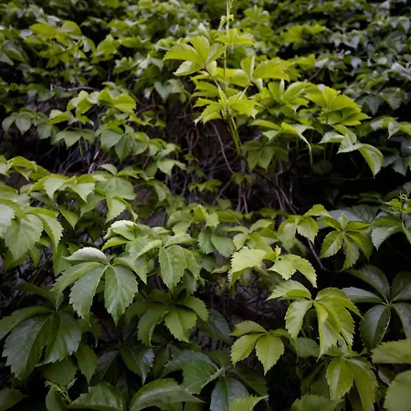 Parco Statella Farm stay *