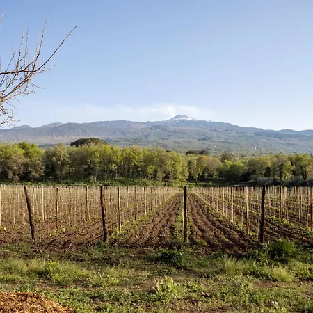 Parco Statella Farm stay