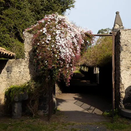 Parco Statella Farm stay Montelaguardia