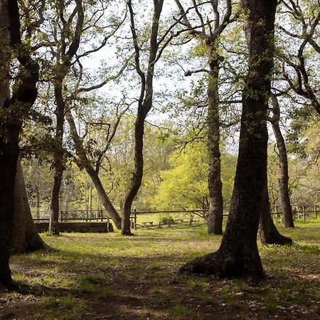 Farm stay Parco Statella Montelaguardia