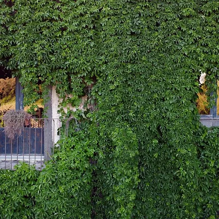 Farm stay Parco Statella *