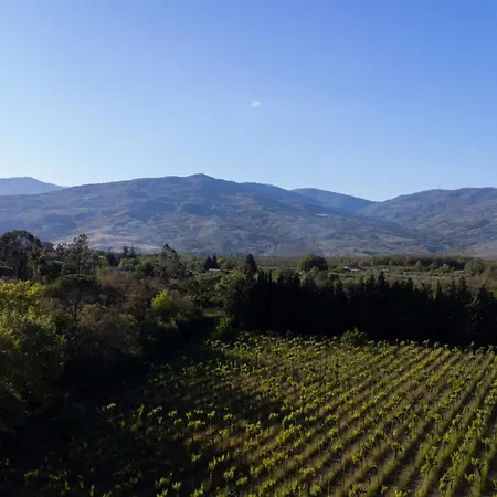 Farm stay Parco Statella Montelaguardia